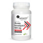 ALINESS MUMIO HIMALAJSKIE 400mg - 90kaps ALINESS MUMIO HIMALAJSKIE 400mg - 90kaps