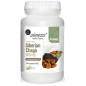 ALINESS SIBERIAN CHAGA ekstr.40 400mg - 90kaps ALINESS SIBERIAN CHAGA ekstr.40 400mg - 90kaps