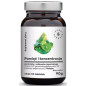 AURA GINKGO BILOBA + BACOPA 90tab. AURA GINKGO BILOBA + BACOPA 90tab.