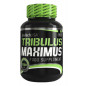 BIOTECH TRIBULUS MAX. 90 tabl. BIOTECH TRIBULUS MAX. 90 tabl.