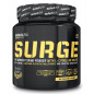 BIOTECH ULISSES SURGE 230g watermelon BIOTECH ULISSES SURGE 230g watermelon