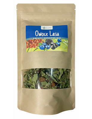 DR JOINT NAPAR KONOPNY BIO 20g  owoce lasu