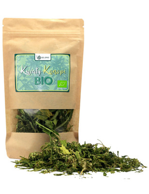 DR JOINT NAPAR Z KWIATÓW KONOPII BIO CBD - 10g
