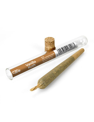 DR JOINT PRE-ROLLED PREMIUM VANILLA KUSH 0,77g