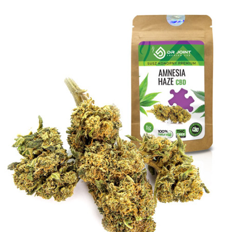 DR JOINT SUSZ KONOPNY AMNESIA HAZE CBD 1g