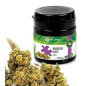 DR JOINT SUSZ KONOPNY AMNESIA HAZE CBD 2g DR JOINT SUSZ KONOPNY AMNESIA HAZE CBD 2g