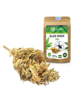 DR JOINT SUSZ KONOPNY BLACK WIDOW CBD 1g
