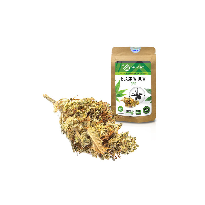 DR JOINT SUSZ KONOPNY BLACK WIDOW CBD 1g DR JOINT SUSZ KONOPNY BLACK WIDOW CBD 1g