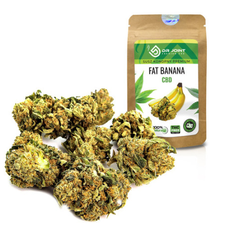 DR JOINT SUSZ KONOPNY FAT BANANA CBD 1g