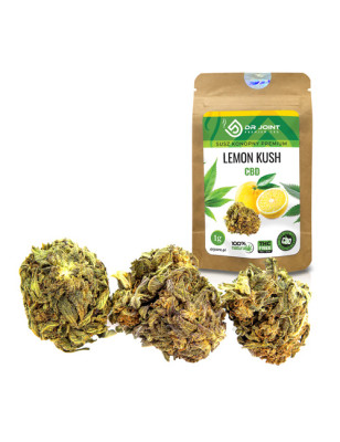 DR JOINT SUSZ KONOPNY LEMON KUSH CBD 1g