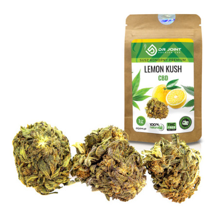 DR JOINT SUSZ KONOPNY LEMON KUSH CBD 1g