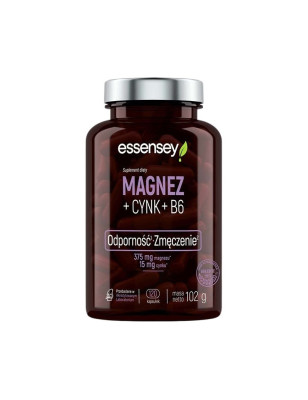 ESSENSEY MAGNEZ+CYNK+B6 120 kaps