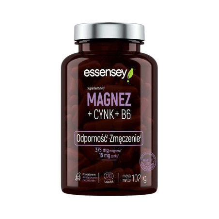 ESSENSEY MAGNEZ+CYNK+B6 120 kaps