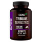 ESSENCE TRIBULUS TERRESTRIS 90kaps