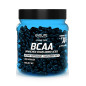 EVOLITE BCAA 2:1:1 XTREME 300kaps EVOLITE BCAA 2:1:1 XTREME 300kaps