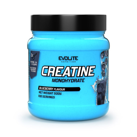 EVOLITE CREATINE 500g BLUEBERRY