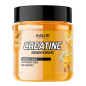EVOLITE CREATINE 500g ORANGE EVOLITE CREATINE 500g ORANGE