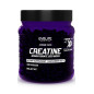 EVOLITE CREATINE MONOHYDRATE XTREME 300kaps EVOLITE CREATINE MONOHYDRATE XTREME 300kaps