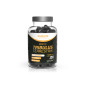 EVOLITE TRIBULUS TERRESTRIS-60kaps EVOLITE TRIBULUS TERRESTRIS-60kaps