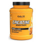 EVOLITE CREATINE 1000g ORANGE EVOLITE CREATINE 1000g ORANGE