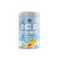 F.A. ICE PUMP PRE WORKOUT 463g icy citrus peach F.A. ICE PUMP PRE WORKOUT 463g icy citrus peach