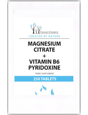 FOREST VITAMIN MAGNEZ + B6 - 250 tabl