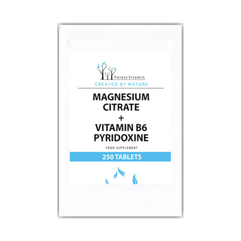 FOREST VITAMIN MAGNEZ + B6 - 250 tabl FOREST VITAMIN MAGNEZ + B6 - 250 tabl