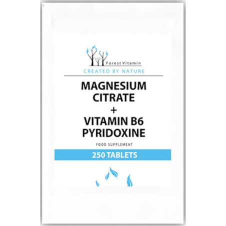FOREST VITAMIN MAGNEZ + B6 - 250 tabl