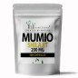 FOREST VITAMIN MUMIO -100 kaps FOREST VITAMIN MUMIO -100 kaps