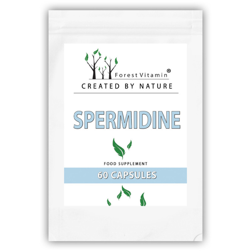 FOREST VITAMIN SPERMIDYNA 10mg - 60 kaps FOREST VITAMIN SPERMIDYNA 10mg - 60 kaps
