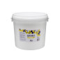 HONEY BEE POWER IZOTONIK 2000 g cytryna i imbir