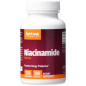 JARROW FORMULAS NIACINAMIDE 250mg - 100 kaps JARROW FORMULAS NIACINAMIDE 250mg - 100 kaps