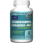 JARROW FORMULAS SACCHAROMYCES BOULARDII+MOS -90kap JARROW FORMULAS SACCHAROMYCES BOULARDII+MOS -90kap