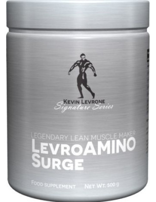 LEVRONE LevroAminoSurge 500g Fruit Punch