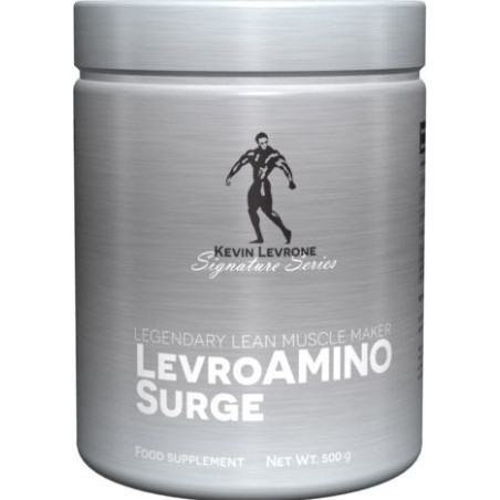 LEVRONE LevroAminoSurge 500g Fruit Punch