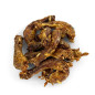 LUCZE SZYJE Z KURCZAKA SUSZ. 1kg 100% NATURALNE LUCZE SZYJE Z KURCZAKA SUSZ. 1kg 100% NATURALNE