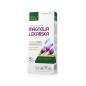 MEDICA HERBS MAGNOLIA LEKARSKA 40 kaps MEDICA HERBS MAGNOLIA LEKARSKA 40 kaps