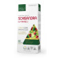 MEDICA HERBS SCHISANDRA (Cytryniec) 60kaps MEDICA HERBS SCHISANDRA (Cytryniec) 60kaps