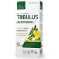 MEDICA HERBS TRIBULUS (Buzdyganek) 60kaps MEDICA HERBS TRIBULUS (Buzdyganek) 60kaps