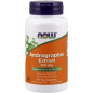 NOW ANDROGRAPHIS EXTRACT 400mg 90 kaps NOW ANDROGRAPHIS EXTRACT 400mg 90 kaps