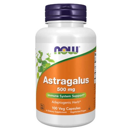 NOW ASTRAGALUS 500 mg - 100 kaps