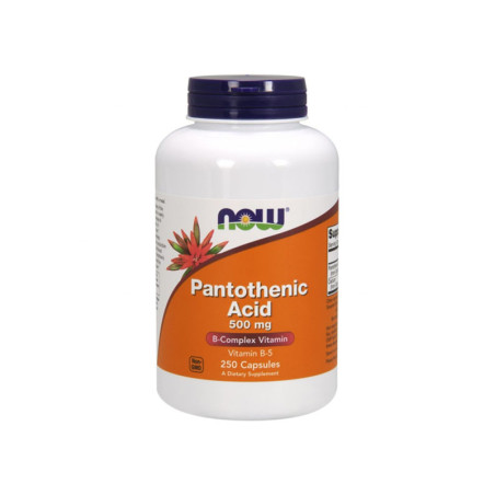 NOW PANTOTHENIC ACID 500mg-250kaps