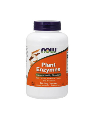 NOW PLANT ENZYMES 240 kaps