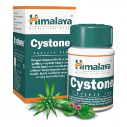 HIMALAYA CYSTONE - 100tabl