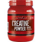 ACTIVLAB CREATINE POWDER 500 g ACTIVLAB CREATINE POWDER 500 g