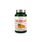 ACTIVLAB PHARMA CURCUMA CAPS 60kaps ACTIVLAB PHARMA CURCUMA CAPS 60kaps