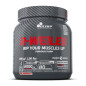 OLIMP REDWEILER 480 g - jagodowo-cytrynowy OLIMP REDWEILER 480 g - jagodowo-cytrynowy