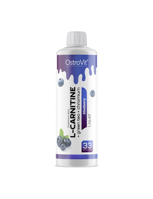 OSTROVIT L-CARNIINE+GREEN TEA+CHROM. LIQ-500 ml