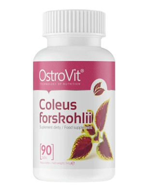 OSTROVIT COLEUS FORSKOHLII 90 tabl