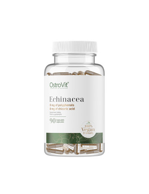 OSTROVIT ECHINACEA 90kaps VEGE